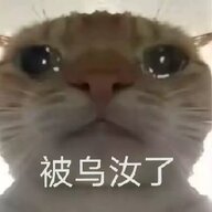gaoyipu666