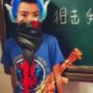 公司的护法国会