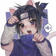 流浪的小说家