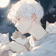 Qymn
