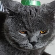milkddontmolk