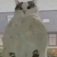 mine