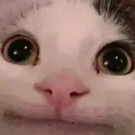 tigernb123