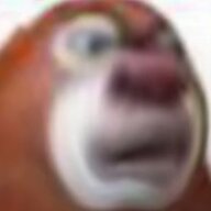 33331