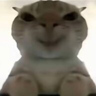 11111111111snsah