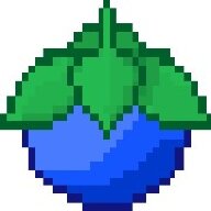 blueberry