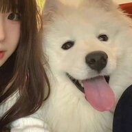 koukii