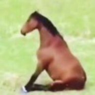 辉煌世界的落幕
